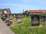 2006-0606-1403-39.jpg